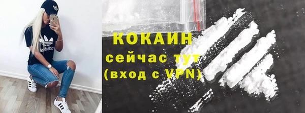 бошки Алзамай